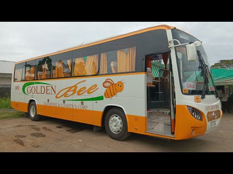 BUS FEATURE!! || The New Grandeza of Golden Bee Transport & Logistics Corp (Golden Bee 1050) 
