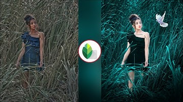 snapseed New Realistic Background colour Change Trick 2023 l snapseed Photo Editing Tutorial