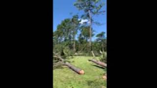 IMG 3491 1