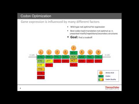 complete-workflow-solution-from-gene-to-protein-combine-highly-advanced-expression..