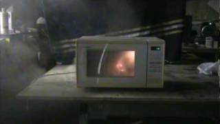 Let's Microwave # 3 - Compact Fluorescent Bulb