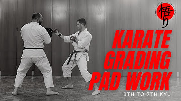 Shotokan Karate Grading Pad Work Combinations Red to Yellow (8th to 7th kyu)