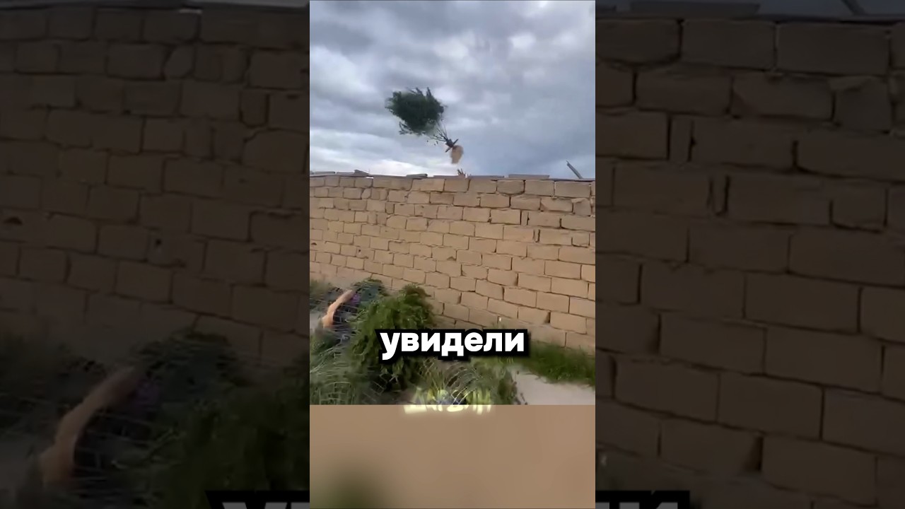 Если я не вижу улик, значит их нет