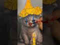 The Clown Cat painting 🎨 #shorts #painting