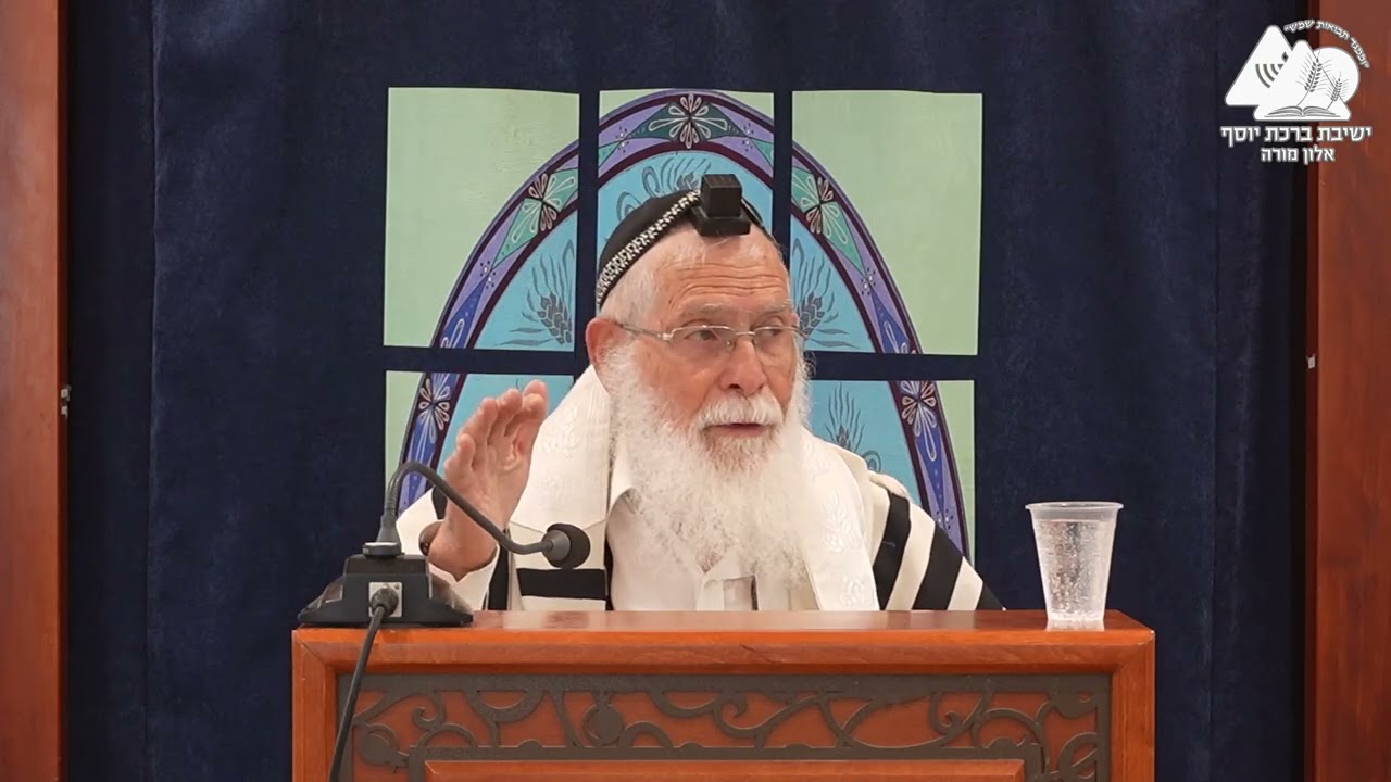 מהו מיעוט בשמחה | הלכות בין המצרים תשפ"ה | הרב אליקים לבנון | 4