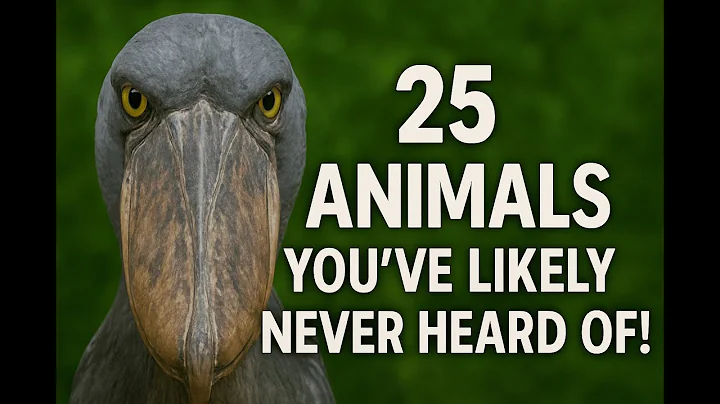 25 Rare Animals You’ve Likely Never Heard Of – Exploring Oceania & Eurasia