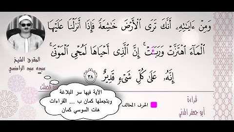 الشيخ عبده عبد الراضي _ سورة فصلت _ سبعة أوجه قراءات في سبع دقائق _ روعة الترتيل