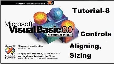 Controls alignment got focus lost focus events in visual basic programming tutorial 8