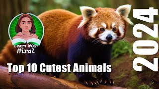 : The Top 10 Cutest Animals in the World #cuteanimals