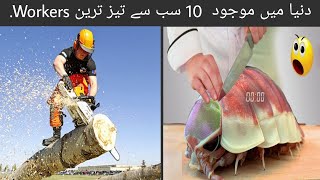 Top 10 Fastest workers in the world | world basement