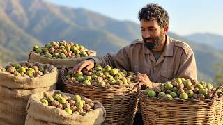 A Full Day of Walnut Harvesting in the High Mountains