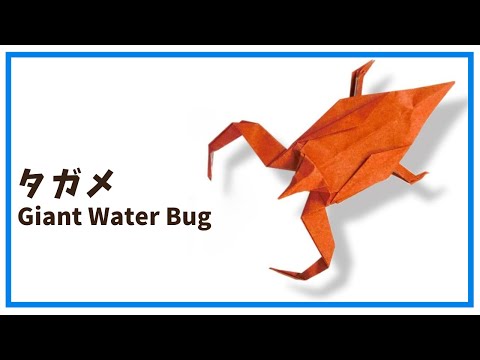 折り紙 タガメ Origami paper Giant Water bug . How to make a cool insect