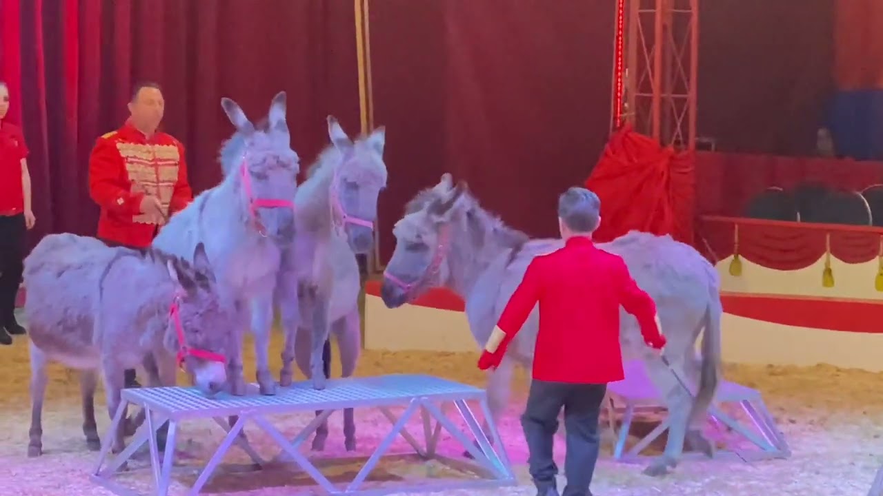 Circus Rolina im Mai 2023 in Langen, Landkreis Offenbach