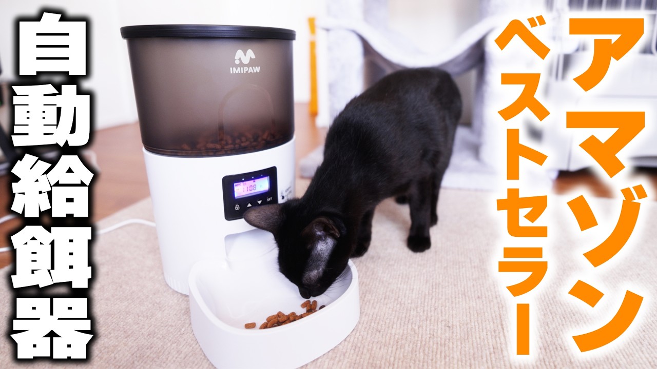 An automatic feeder for just one rescue cat?? There's a reason for