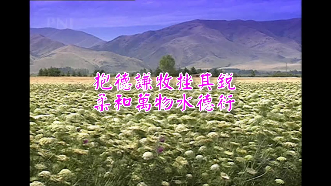B可愛的徒兒修道吧 可憐戀花再會吧 演奏 男 Youtube B可愛的徒兒修道吧 可憐戀花再會吧 演奏 男 Youtube