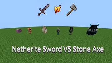 Netherite Sword VS Stone Axe - Who Would Win?