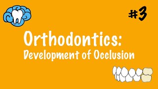 Orthodontics | Development of Occlusion | INBDE, ADAT