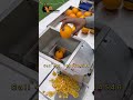 Slice Of Orange Also For Vegetable |  Commercial High speed Chopping Machine #orange #shorts