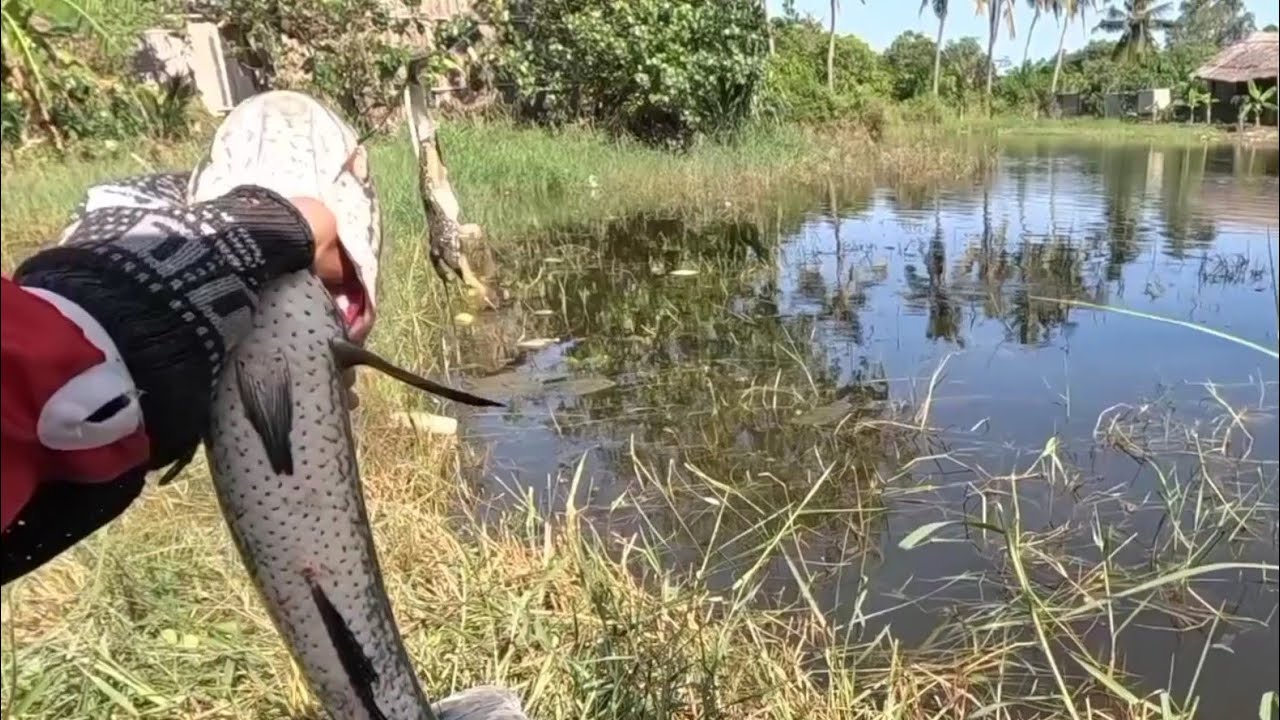 Câu Ngầm - Tổng Kết Mùa Giải Câu Ngâm