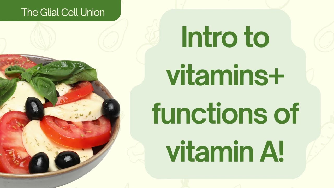 Intro to vitamins + all functions of VITAMIN A