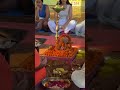 Yoga Teacher Training Program in Rishikesh | Best Yoga School in Rishikesh