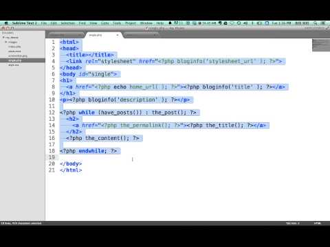 WordPress入門講座10 [cssを整えるsinglephp]