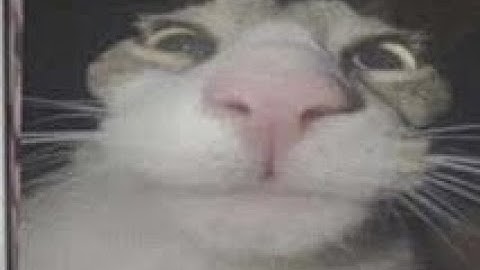 First to join own the server [ VULNERABILITIES SCRIPTS ] !! #hacks #roblox #robloxhack #scriptshack