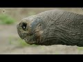 The Biggest Mouths in the Ocean | Full Episode | Big Pacific