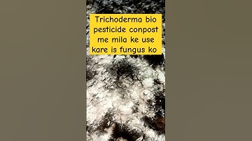 Trichoderma ka use compost me #trichoderma #compost