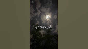 القرآن الكريم #المصحف #الشيخ ياسر الدوسري#تلاوة خاشعه