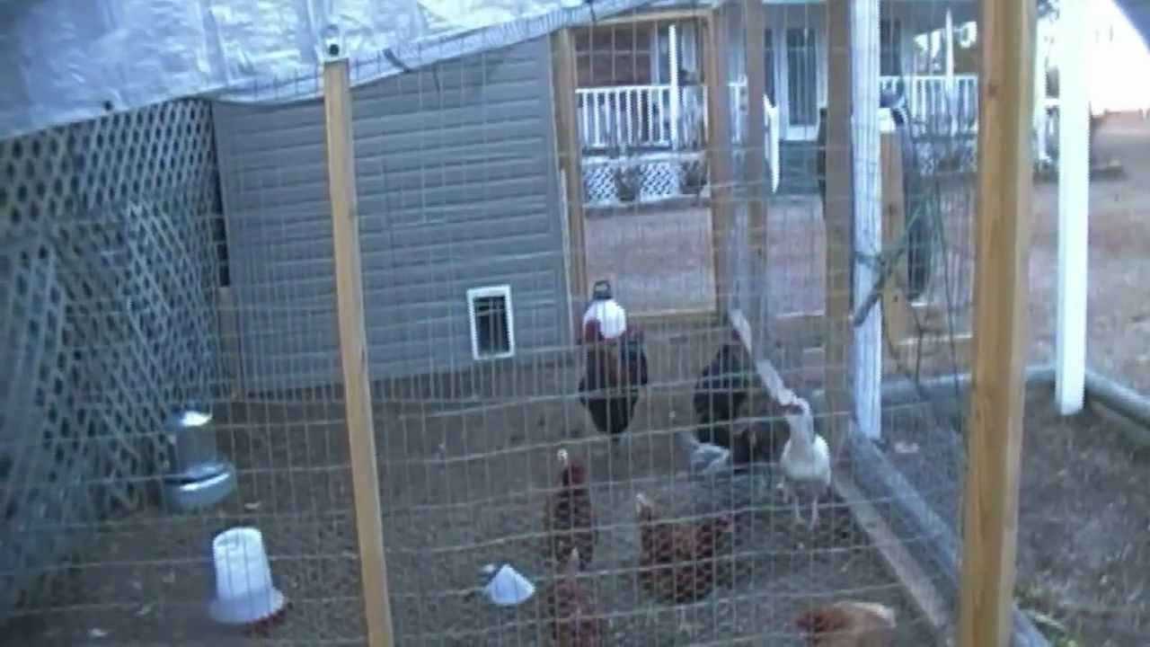 Homemade Easy to Clean Chicken Coop - YouTube