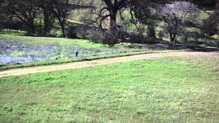 Best Warrior Competition 2015: Land Navigation