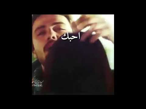 انتا قلب قلبي انت حبيبي يا عمري انا بيك احلمت