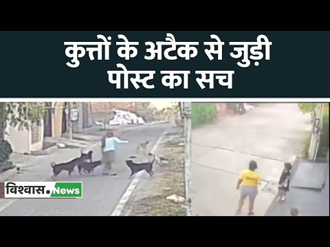 Dog के Attack से जुड़ी Post का सच। Viral Video। Supreme Court। Delhi News। Fact Check