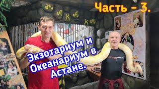 Экзотариум и Океанариум в Астане.