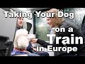 Taking A Dog On A Train