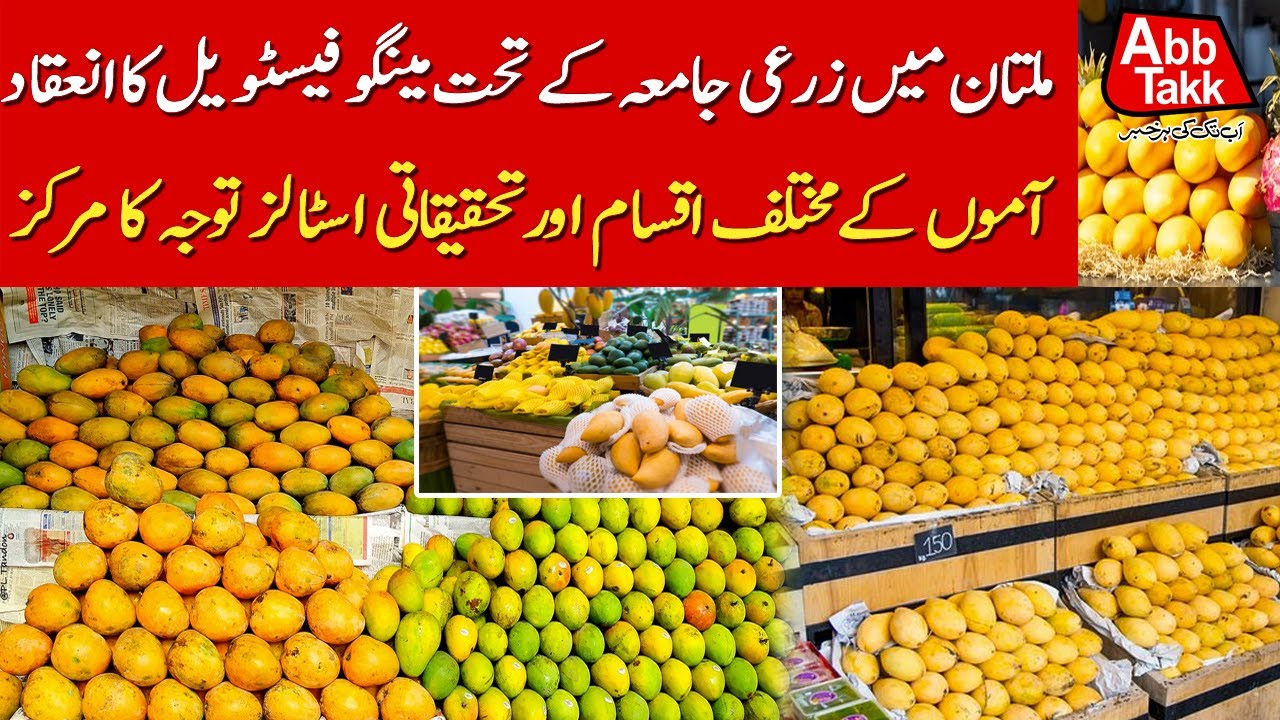 Multan Agriculture University Hosts Mango Festival | Mango Festival 2025 | Abbtakk News