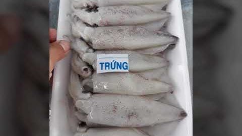 Hải sản vân đồn cá mực khô mực tươi mực 1 nắng  ngon bổ rẻ