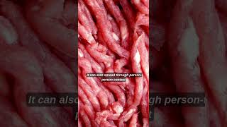 E  Coli vs  Salmonella Difference Between Salmonella And Ecoli