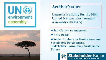 Capacity Building for the Fifth United Nations Environment Assembly UNEA 5 Webinar