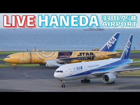🔶LIVE📡 '25/7/22 羽田空港 T2 Tokyo International Airport HANEDA T2 plane spotting