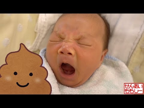 うんちして大あくび