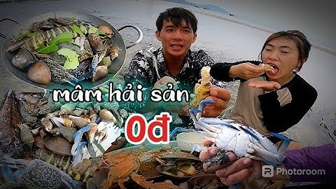 săn bắt hải sản gần bờ gặp ghẹ xanh tôm tít vàng siêu to | Catch coastal seafood | khám phá biển tv