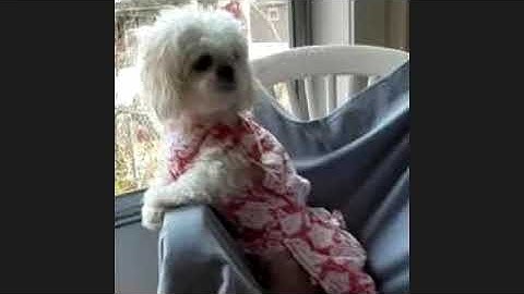 Movements Towards Emancipation: Abolitionist Actions and Major Occurrences pt 1