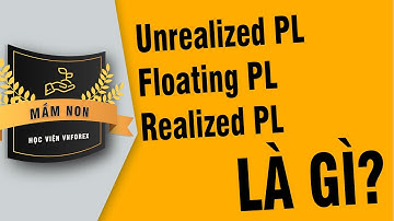 Bài 26: Unrealized PL, Floating PL và Realized PL là gì? - Lớp Mầm non - Học viện VNForex