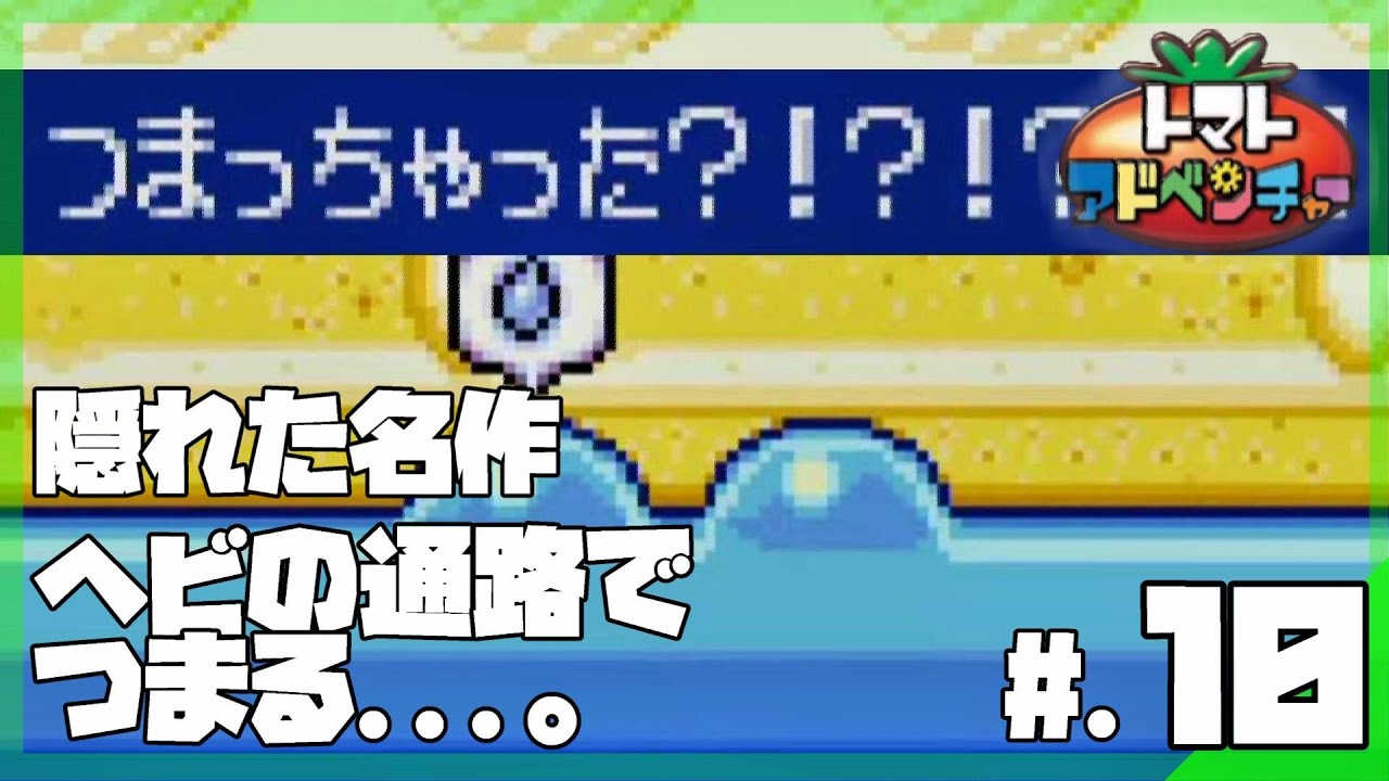 隠れた名作】ヘビのノミコンダの中でつまってしまいました
