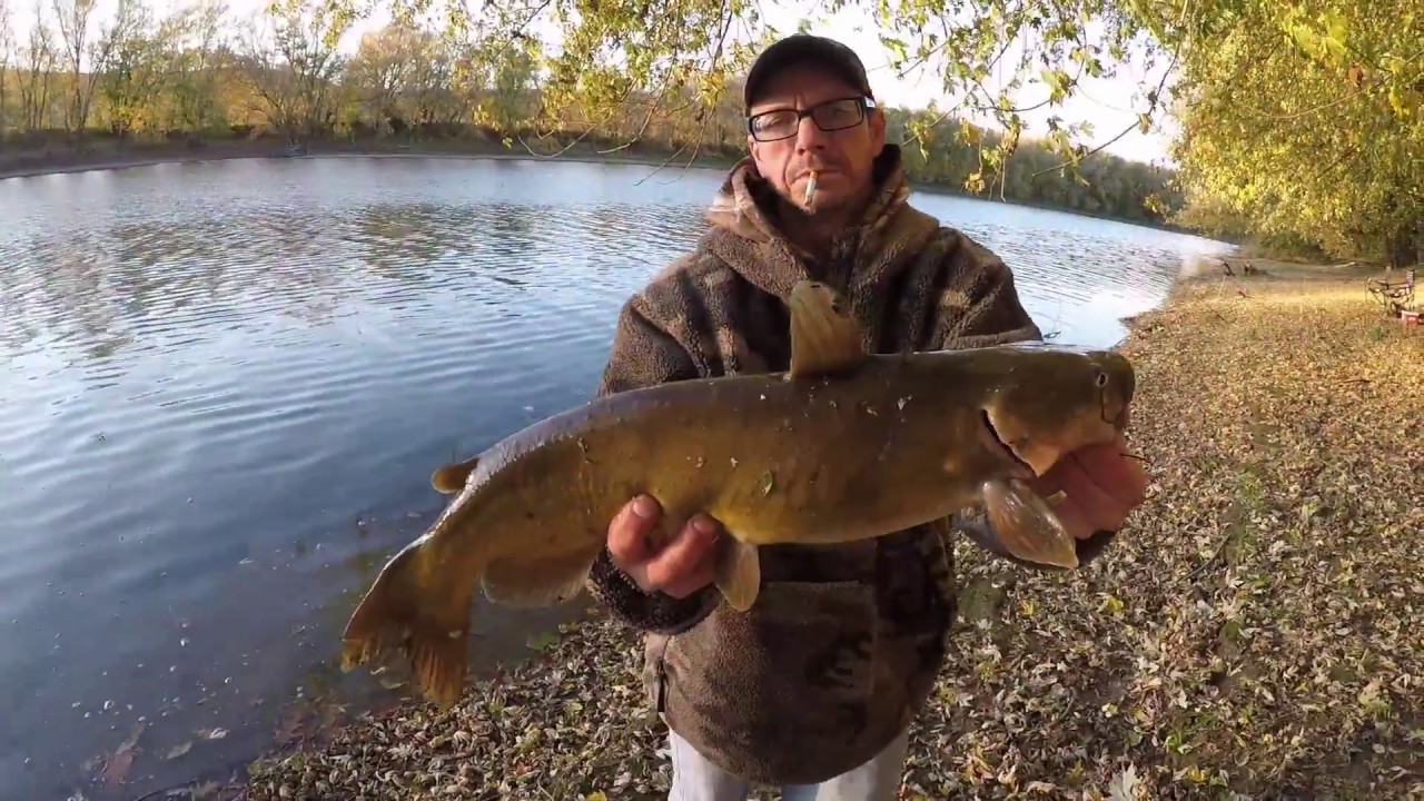 Channel Catfishing from the Bank YouTube