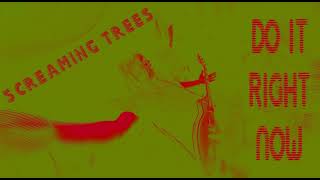 Screaming Trees -Do It Right Now (1991 Avast Studios)