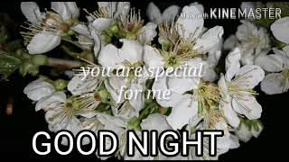 Good night you are special for me 😘 video with flower and music just for you screenshot 5