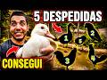 Despedida de 5 Aves, Quem Vai e quem fica ? Formando Novo Casal na criação | Aves Recriar